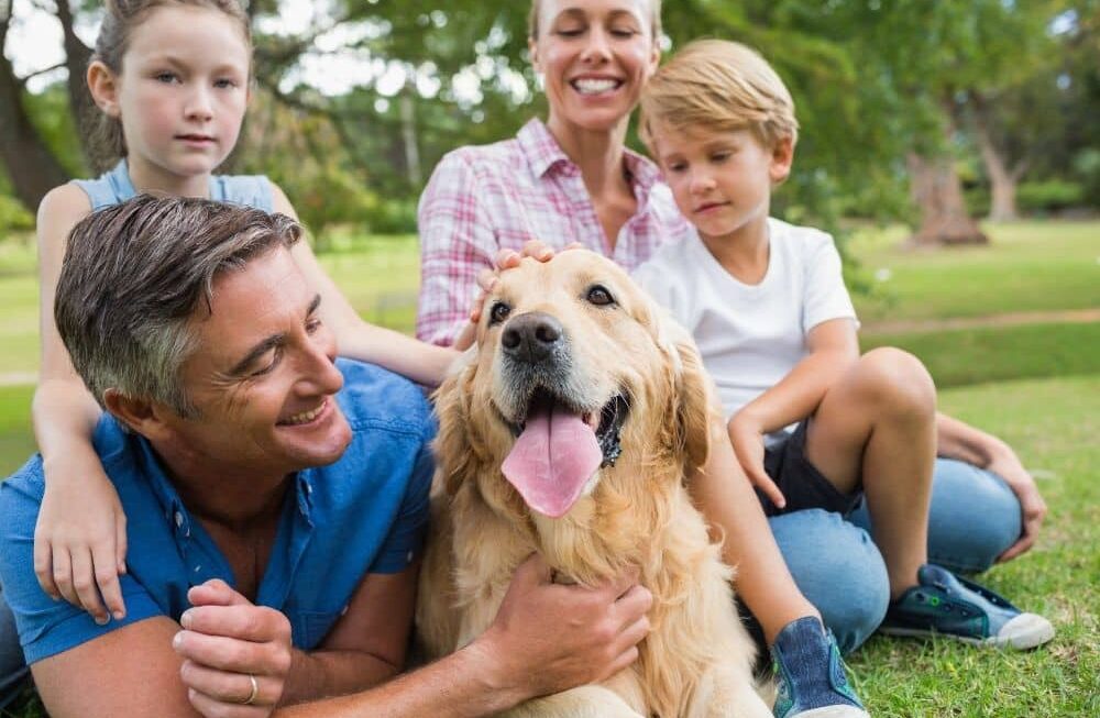 The Best Dog Breeds for Families